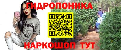 Альфа ПВП Кандалакша