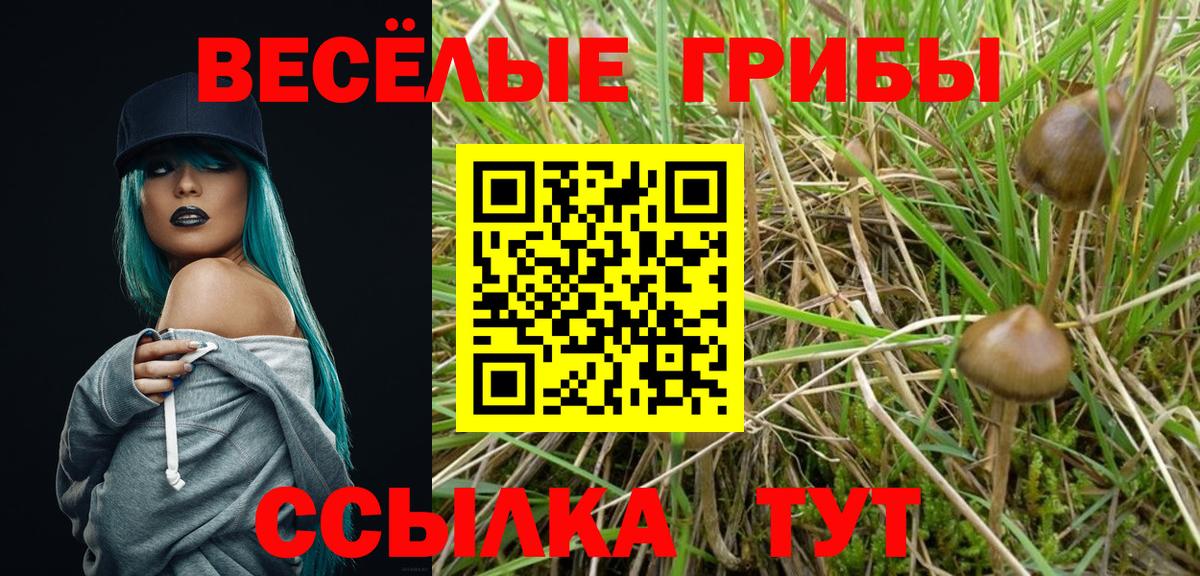 Псилоцибиновые грибы GOLDEN TEACHER  Вход с VPN  сколько стоит  Галлюциногенные грибы прущие грибы  Кириши 